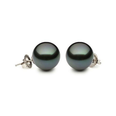 14K Tahitian Pearl Tahitian Studs