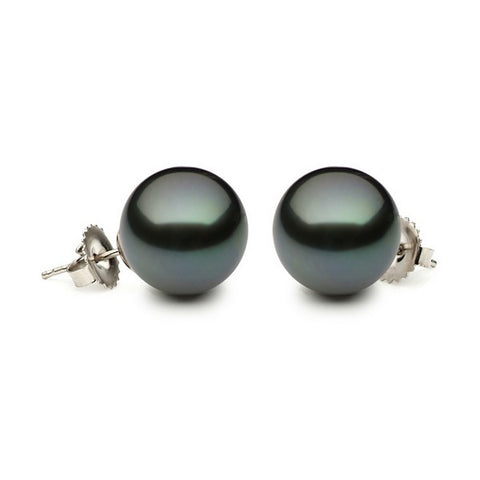 14K Tahitian Pearl Tahitian Studs